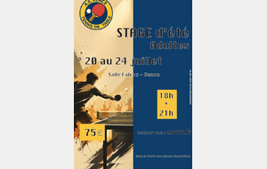 Stage Adultes 26-E - 20-24/07/2026 18h-22h à Falcoz
